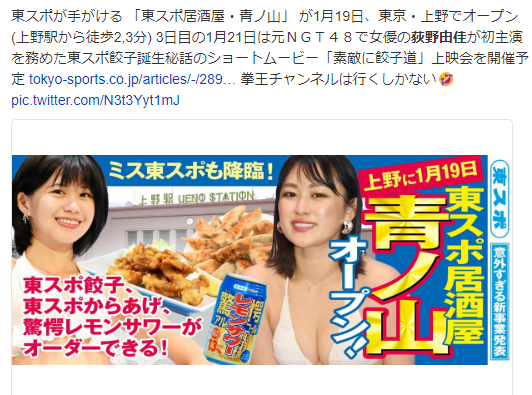 日本のアイドル教科書を作るとしたら