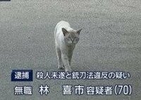 悪い顔選手権inガルちゃん Part2