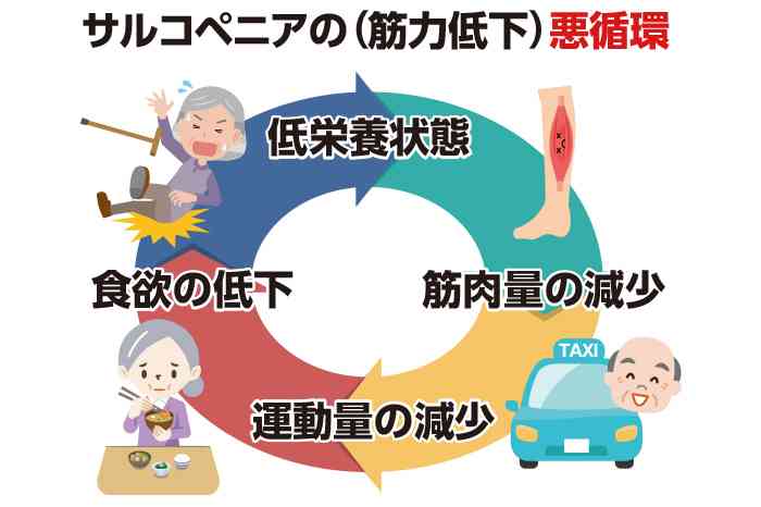 【ご教授ください】筋トレにハマっている人!