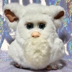 【画像あり・閲覧注意】「神の生まれ変わり？」人間の顔のようなヤギ誕生で小さな村は大騒ぎ（印）