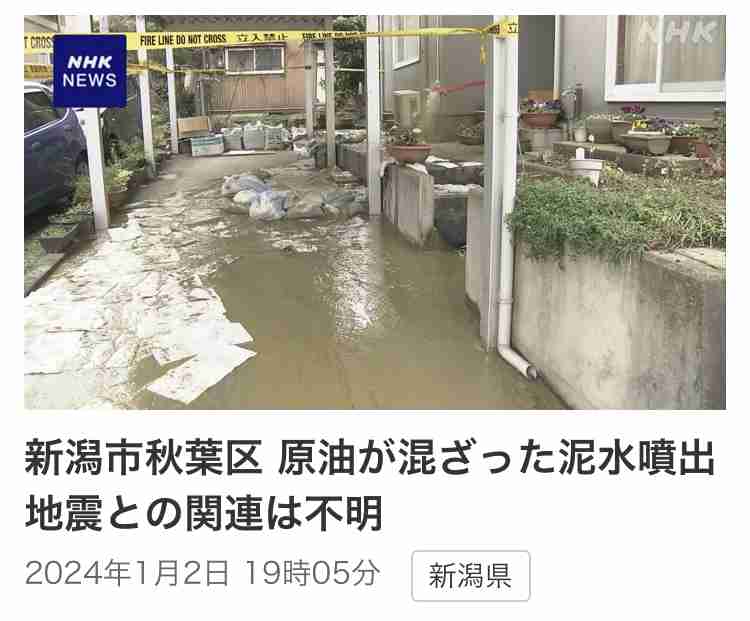 【閲覧注意】まるで恐竜。英歌手のファッションに賛否両論。「トゲある」姿から目が離せない