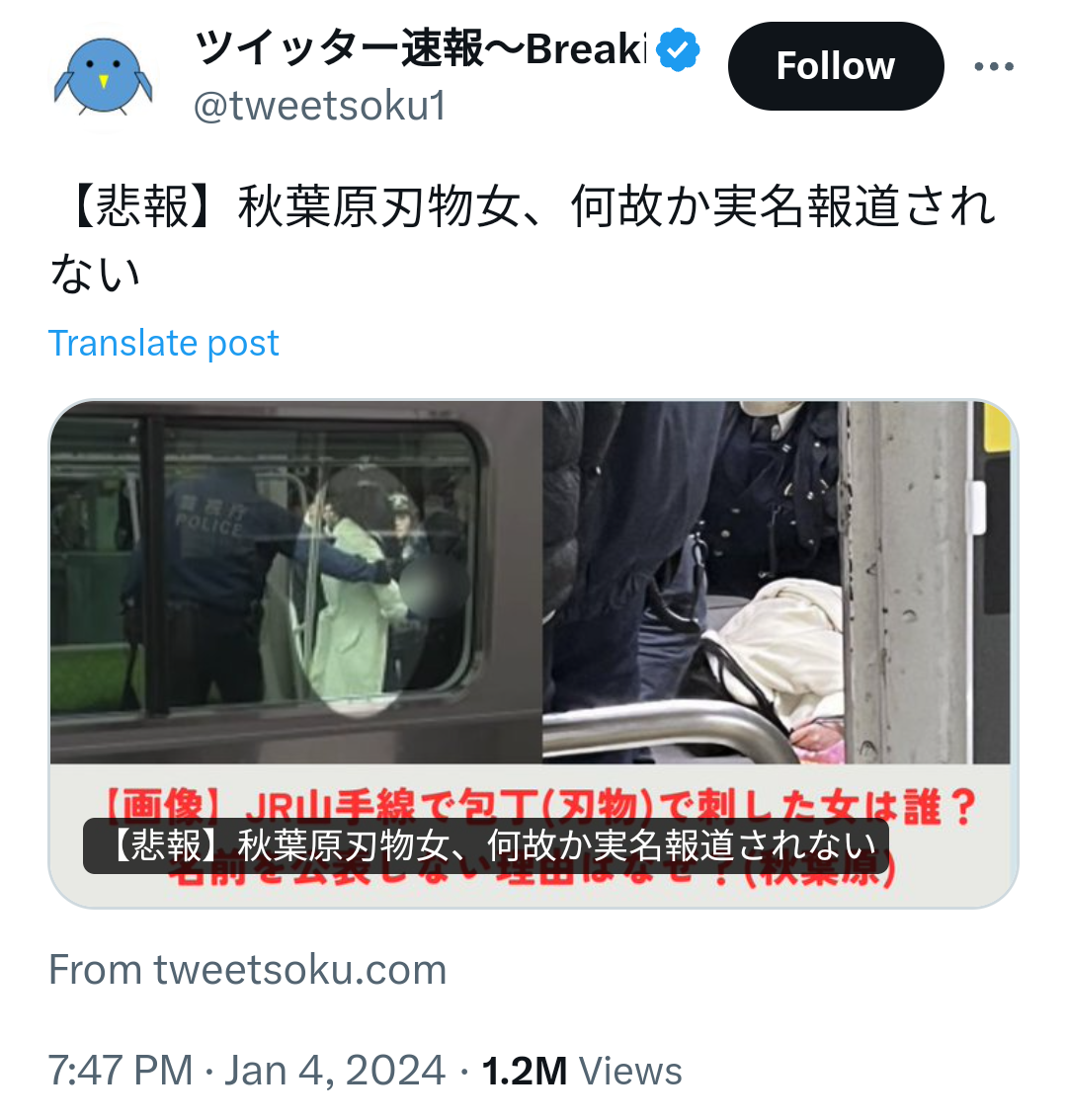 【閲覧注意】まるで恐竜。英歌手のファッションに賛否両論。「トゲある」姿から目が離せない