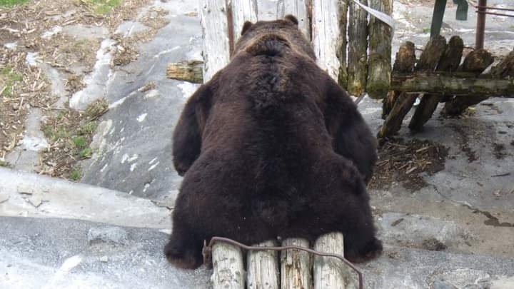 太って良かったことって何かありますか？