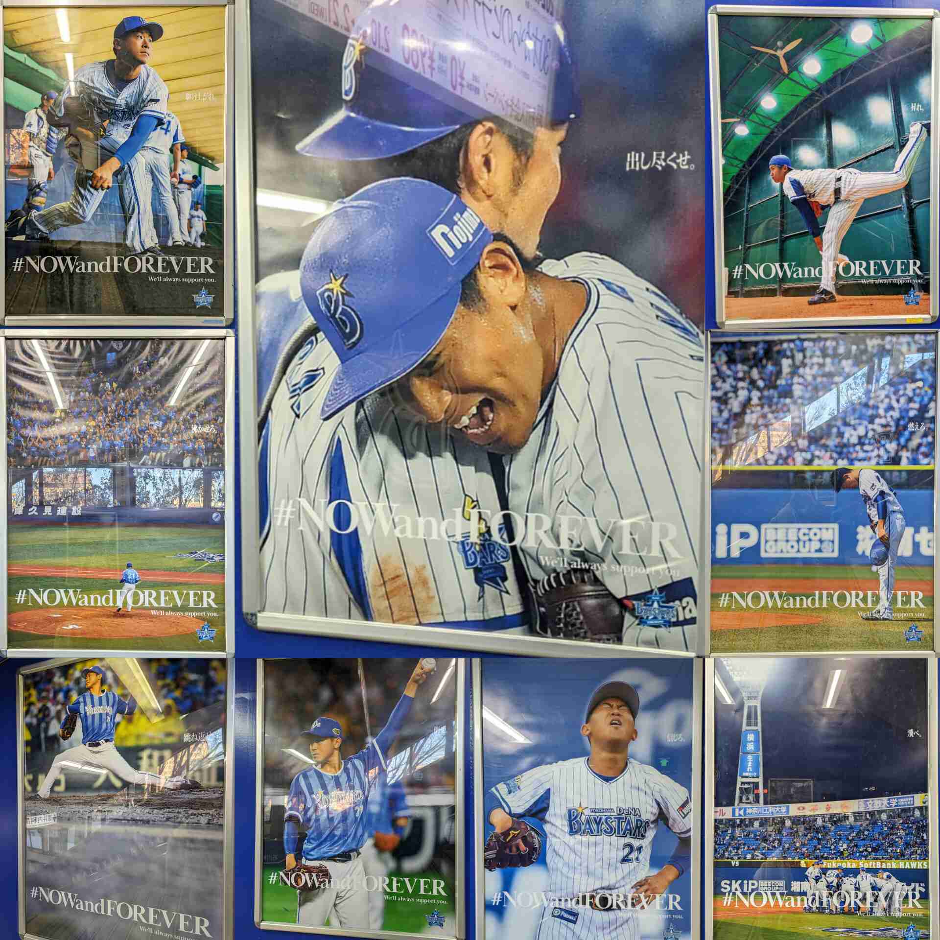 横浜DeNAベイスターズを応援しよう