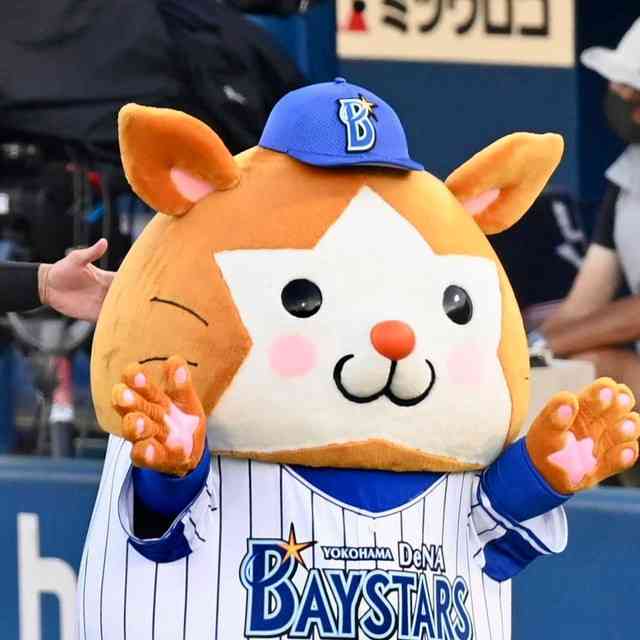 横浜DeNAベイスターズを応援しよう