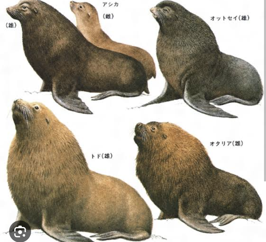 色々なTODOリストが見たい