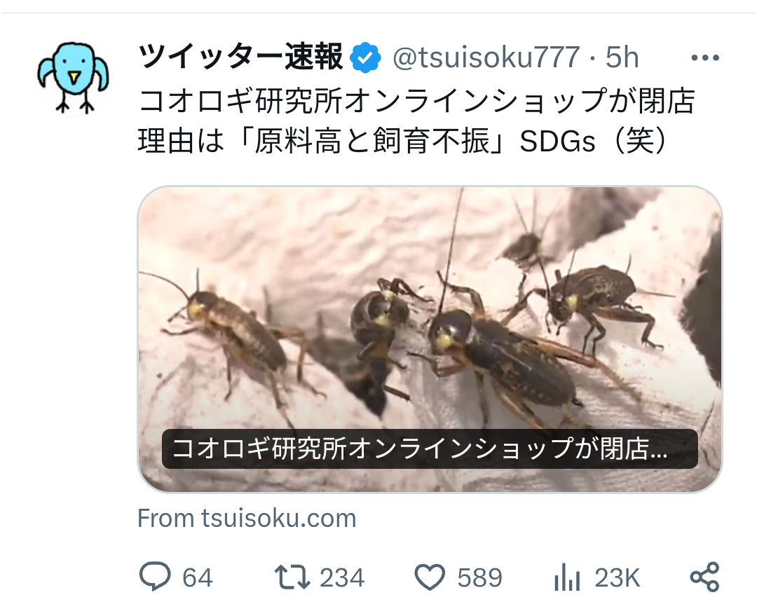旅館みたいな“朝ごはん”の準備なんて無理! 人工知能研究者が辿り着いた、究極の「脳めし」とは?