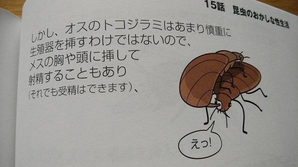 ビジネスホテルを選ぶ時の基準