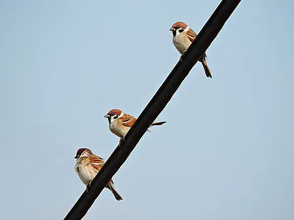 「死にたい」ではなく「消えたい」って思う人 Part15