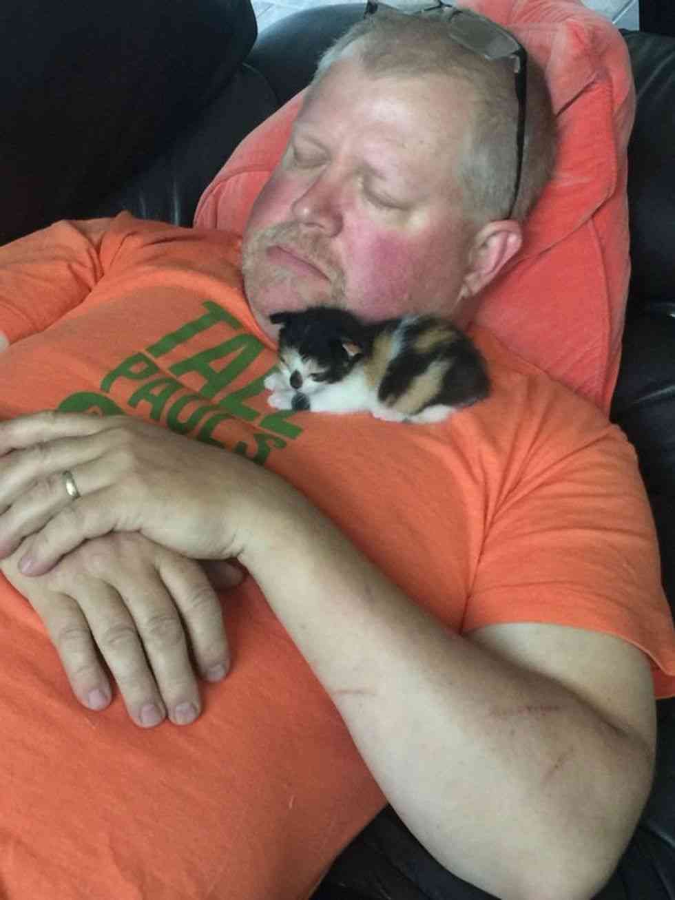 猫の画像を貼ると名前を付けてくれるトピ Part2