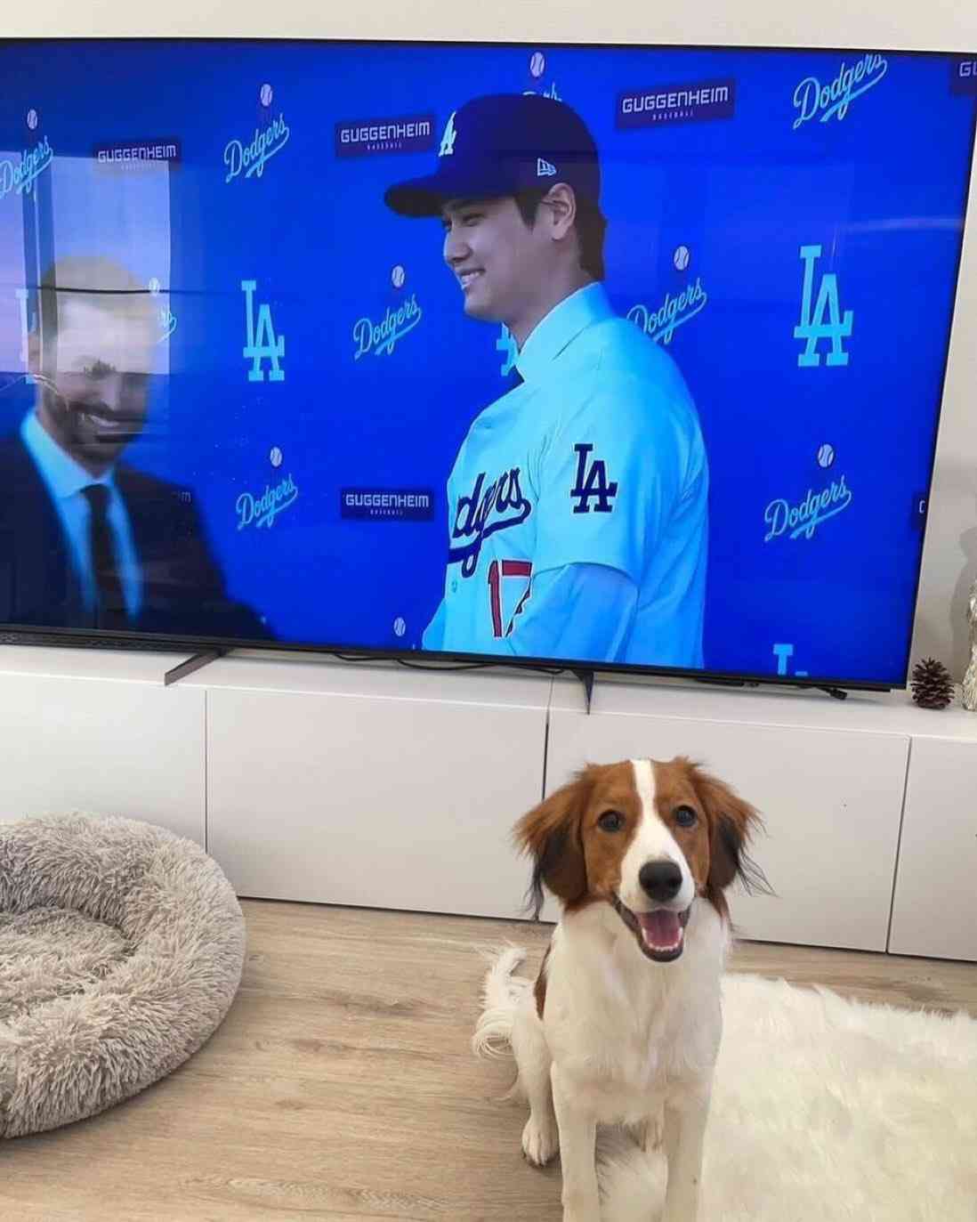 大谷翔平「ワールドシリーズで勝つ」…愛犬デコピンとは「一緒にリハビリを頑張りました」