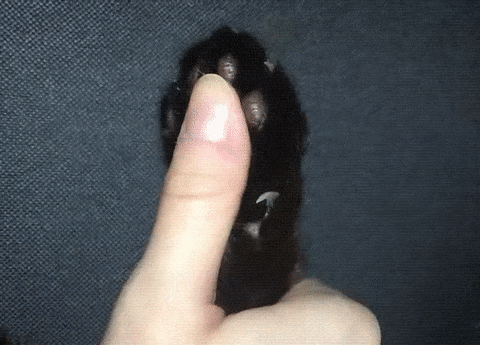 誰がこんなシステム考えたの😡と思うもの