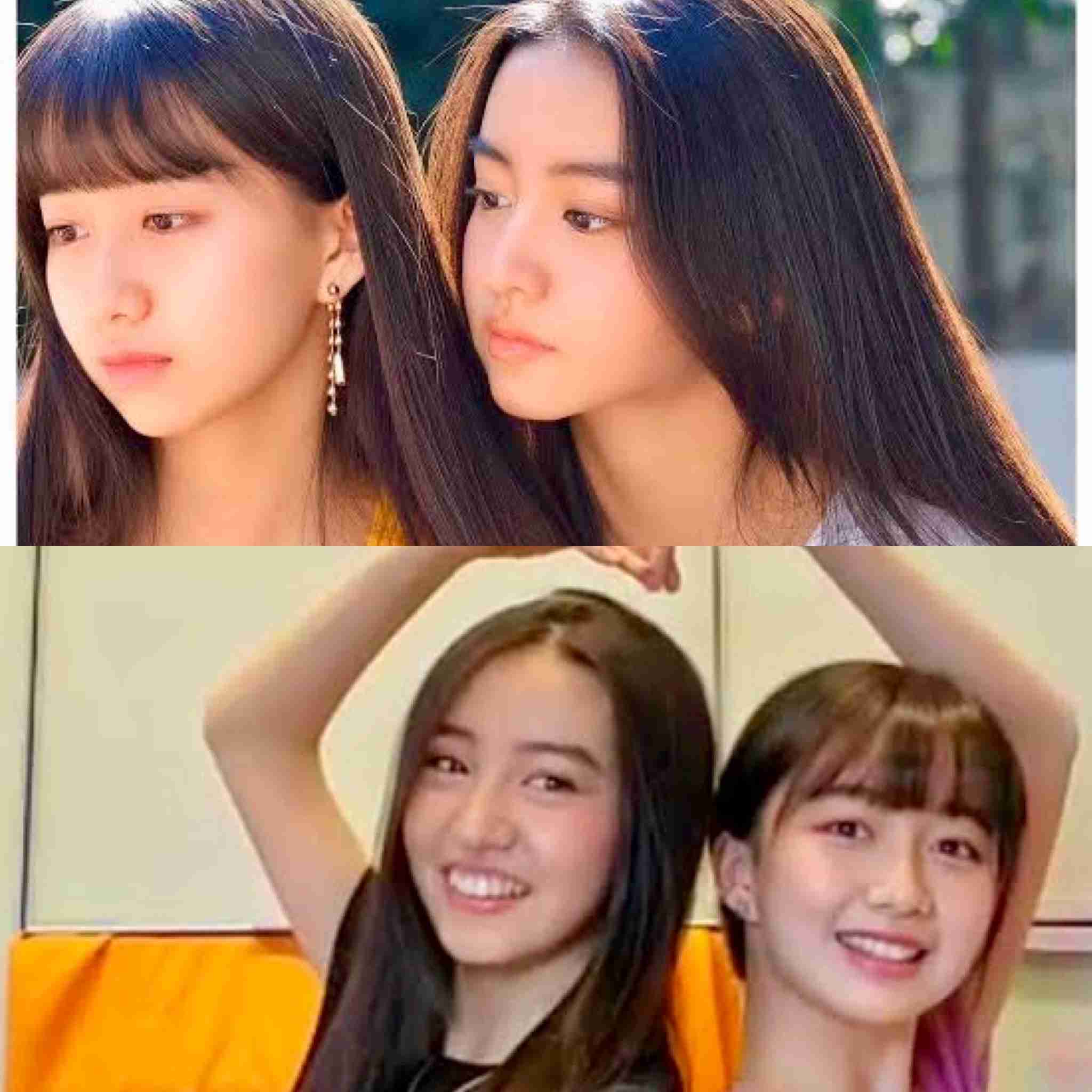 芸能人の兄弟・姉妹が見たいpart3