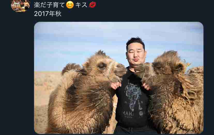 元朝青龍 ダンス音楽フェスで妻とブチあがる動画が話題「人生謳歌してる」「パリピ朝青龍」の声