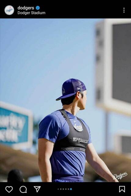 大谷翔平の愛犬デコピンにビザ発給　ということは…山本由伸の「みかん」にも必要か