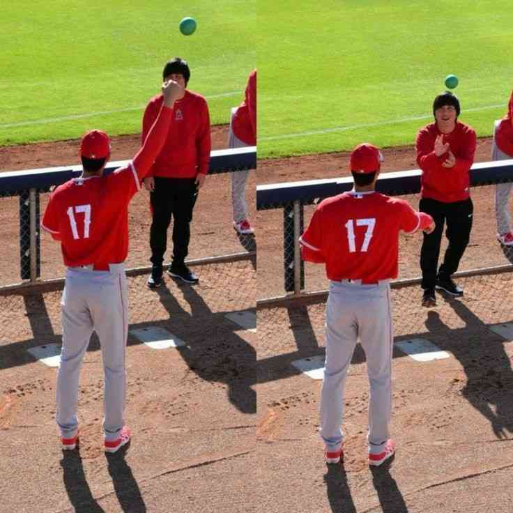 大谷翔平の愛犬デコピンにビザ発給　ということは…山本由伸の「みかん」にも必要か