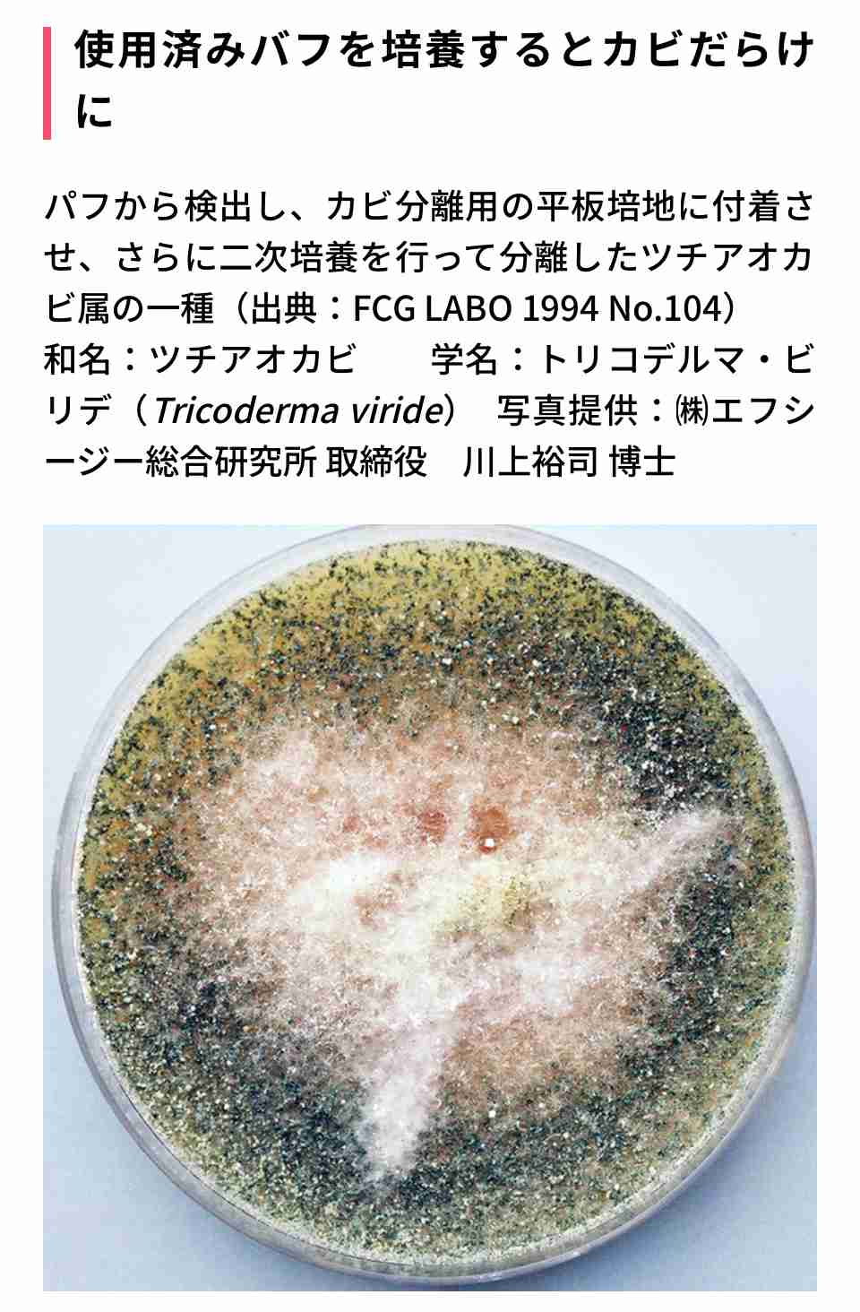 古い化粧品を使って起きたトラブル…