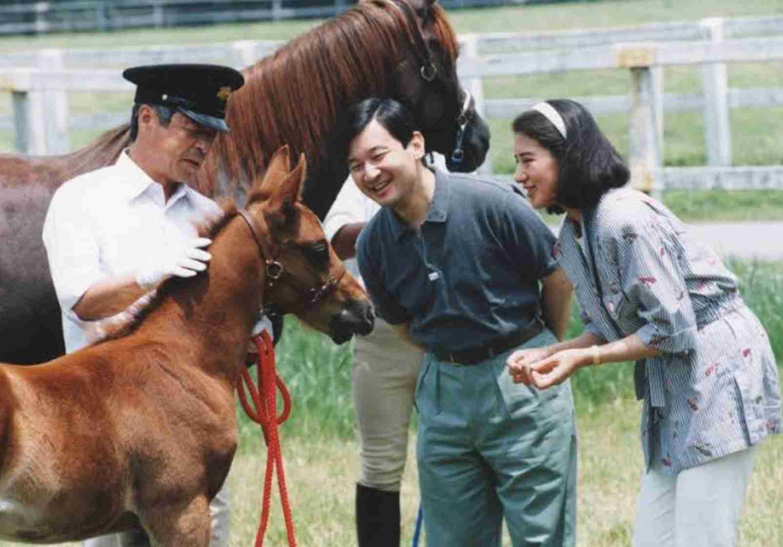 牧場が好きな人