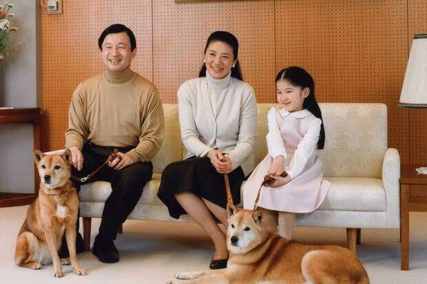 牧場が好きな人