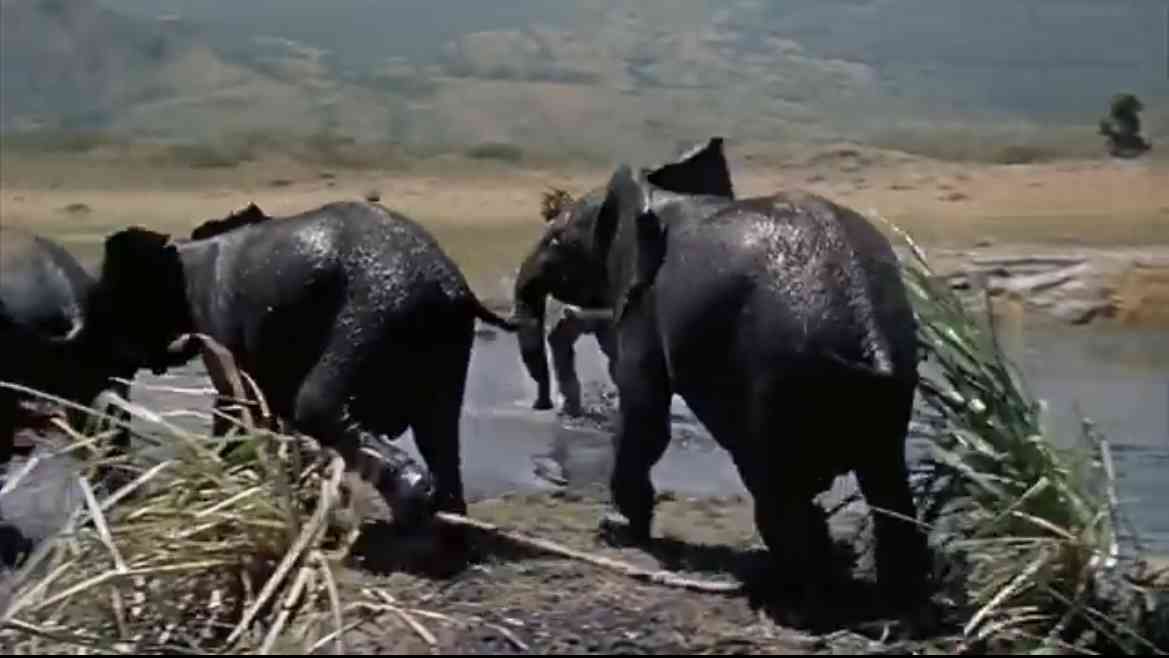 人物が映ってない画像で映画のタイトルを当てるトピ Part2