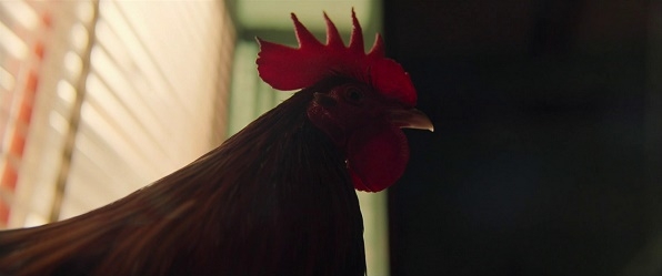 人物が映ってない画像で映画のタイトルを当てるトピ Part2