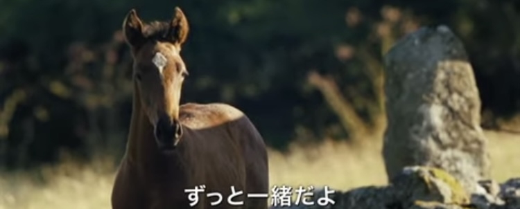人物が映ってない画像で映画のタイトルを当てるトピ Part2
