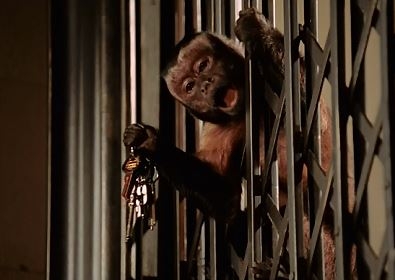 人物が映ってない画像で映画のタイトルを当てるトピ Part2