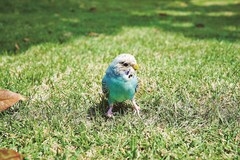 人物が映ってない画像で映画のタイトルを当てるトピ Part2