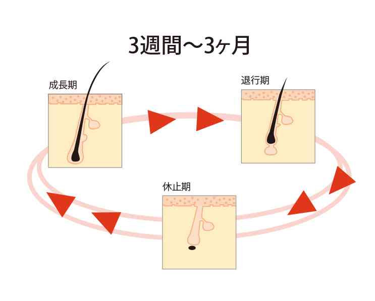 マツエク、まつ毛パーマしてる人