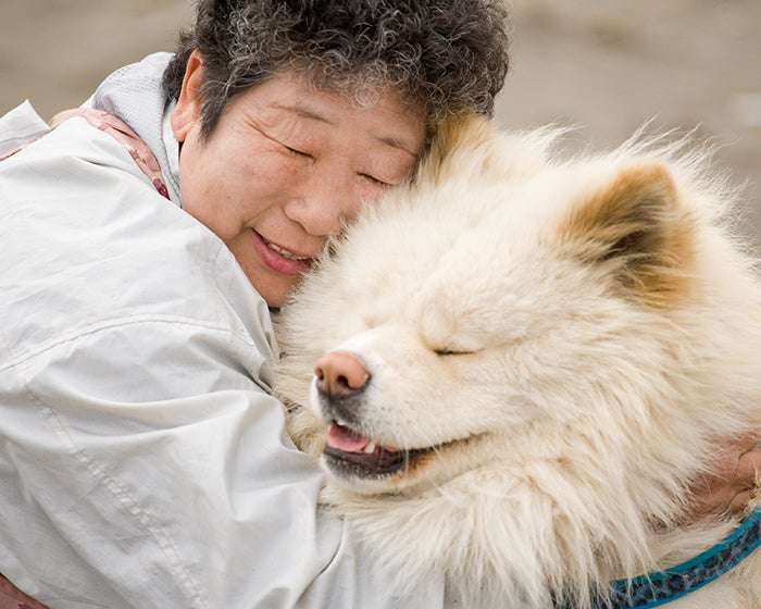 大型犬が好きな人が画像を貼ったり愛でたりするトピ