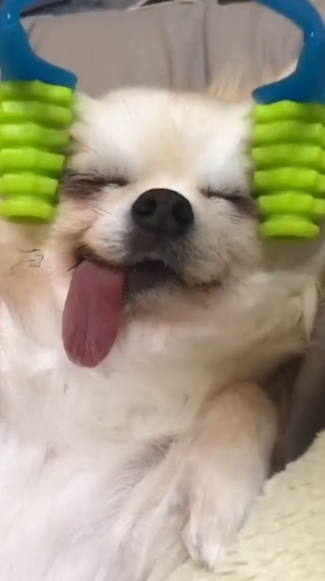 引き抜き(ヘッドハンティング)された事ある人