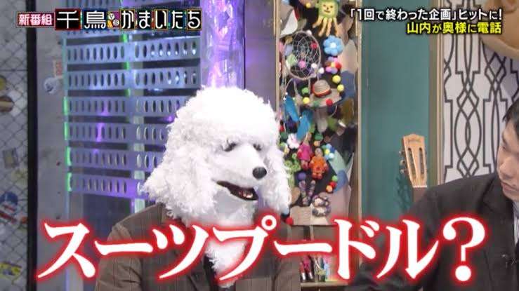 同棲予定の彼がピットブルを飼いたいと言い出しました