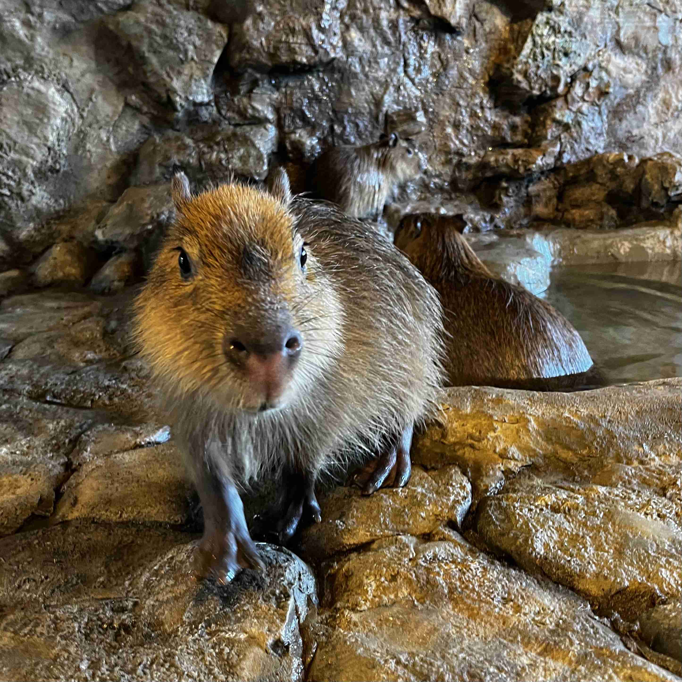 最近旅行した場所