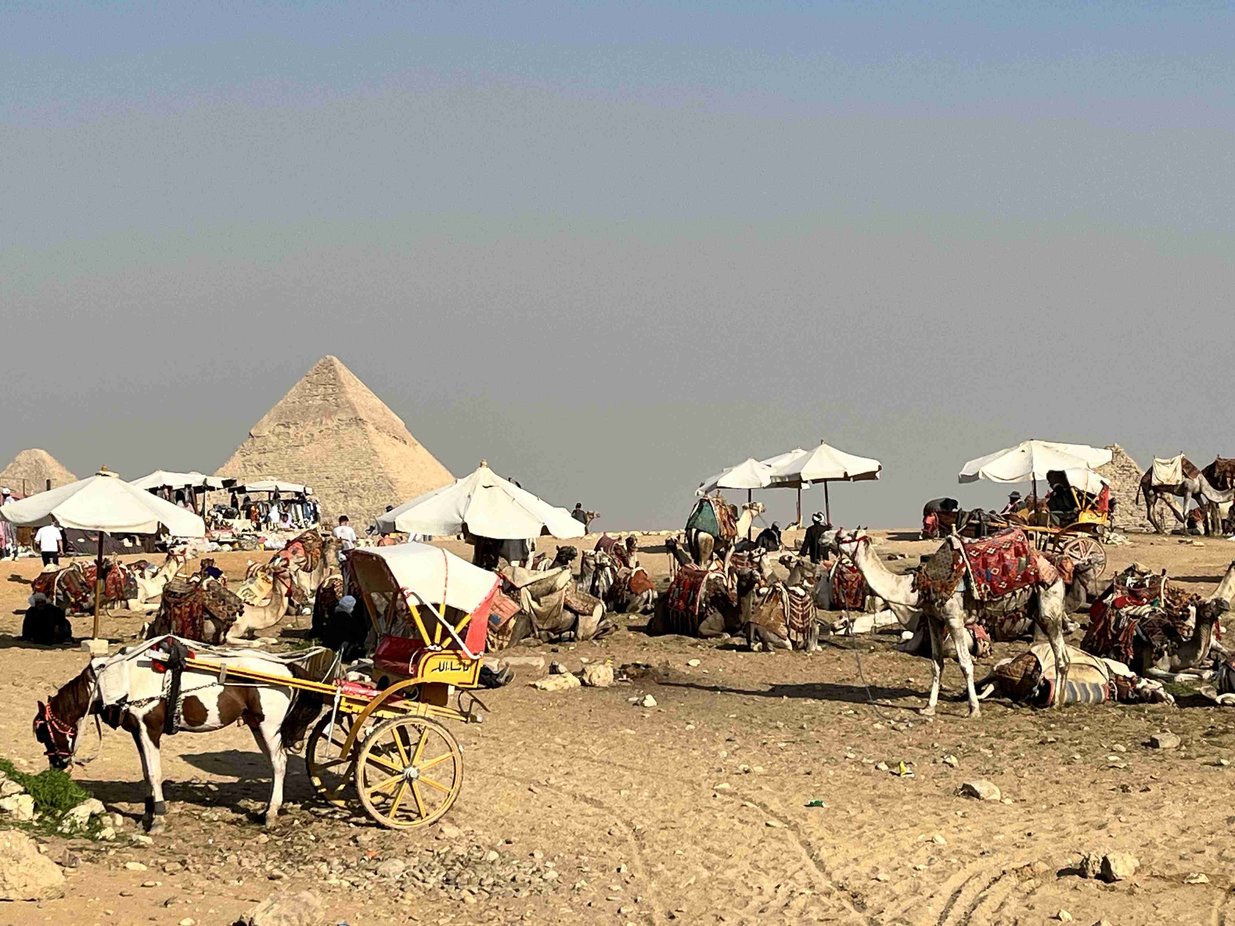 最近旅行した場所