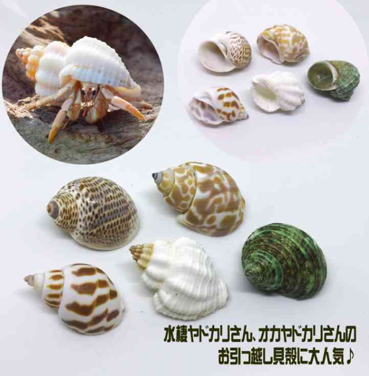 引っ越しについての疑問・質問わかる人がいたらお返事よろしくお願いします❗️