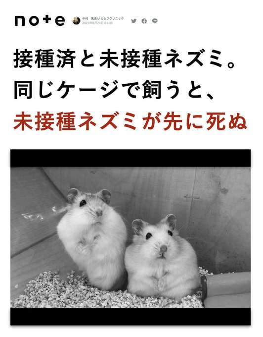笑った陰謀論