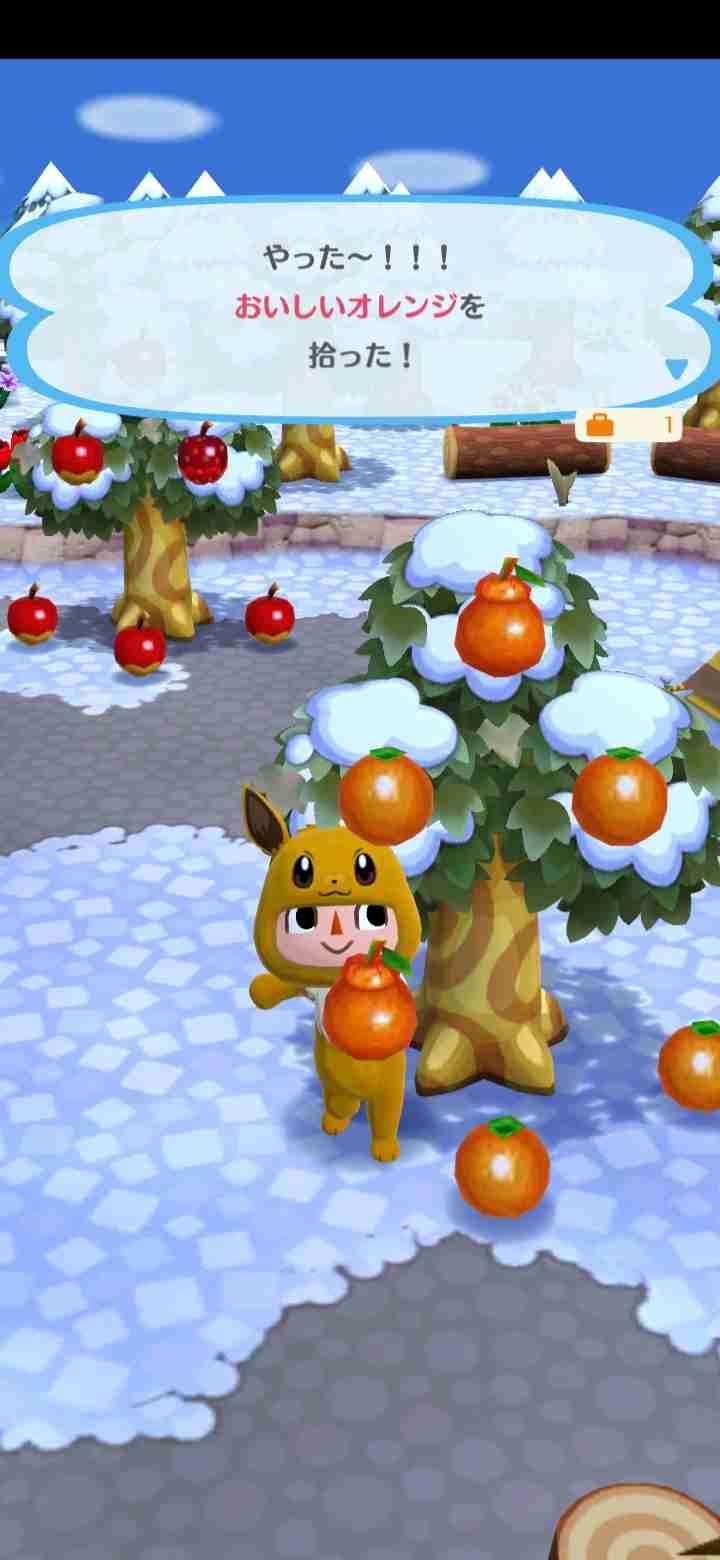 オススメのみかん教えてください！