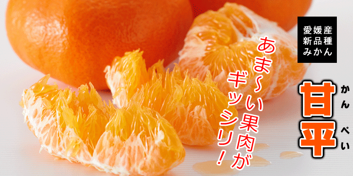 オススメのみかん教えてください！