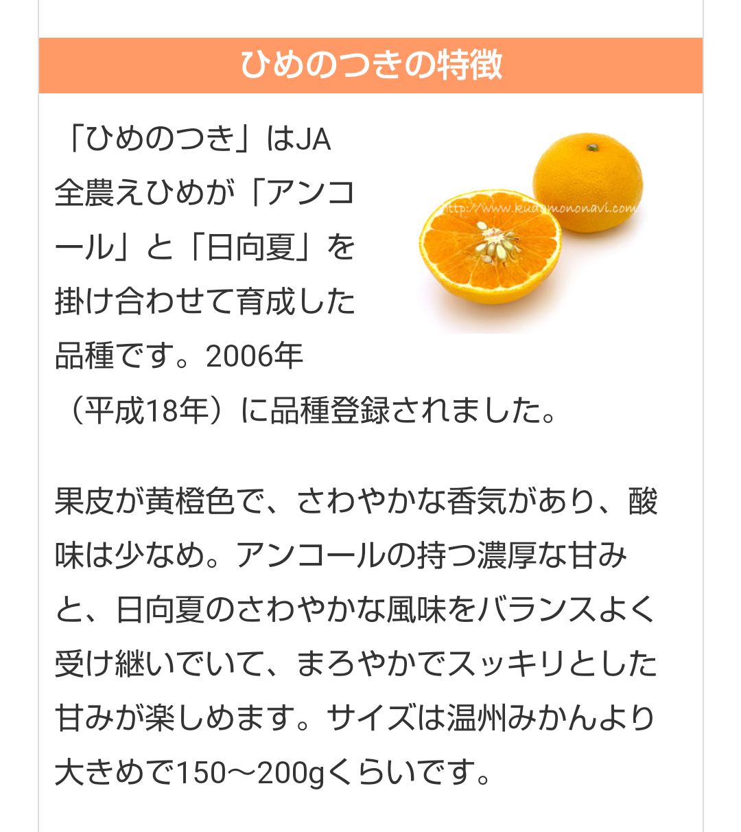 オススメのみかん教えてください！