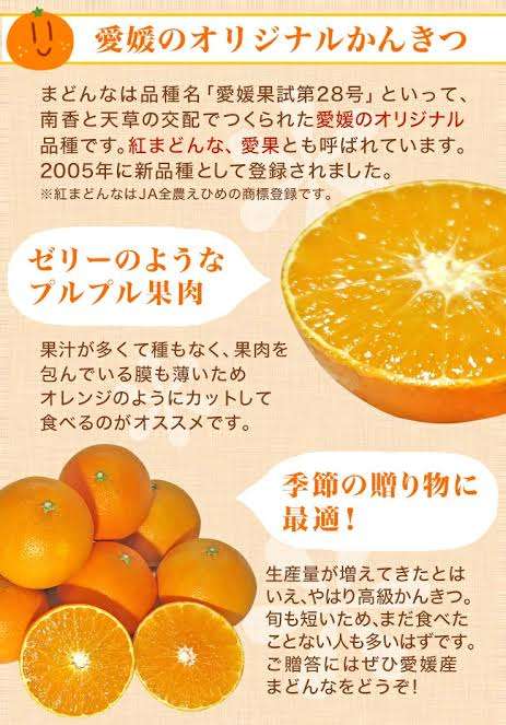 オススメのみかん教えてください！