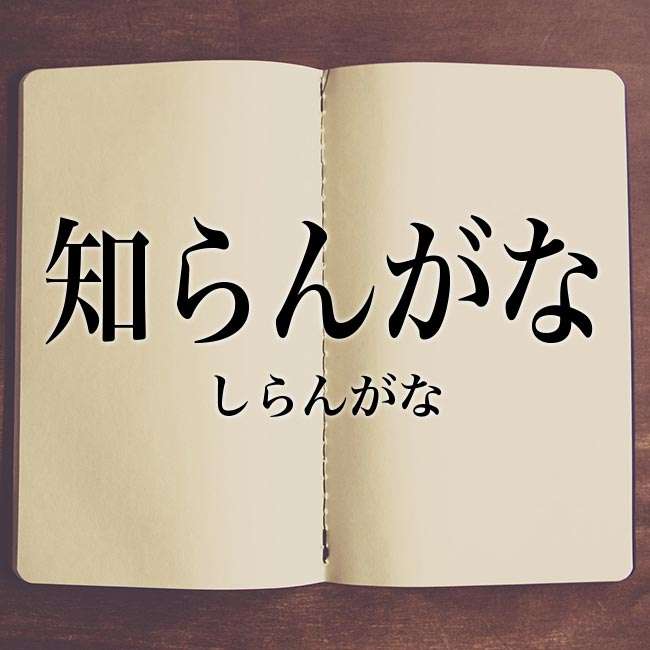 婚活でスペックで選んだ相手とも恋愛の一連の過程は必要ですか？