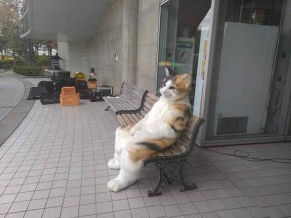 【ネタ可】とにかくあったかそうなコーデが見たい