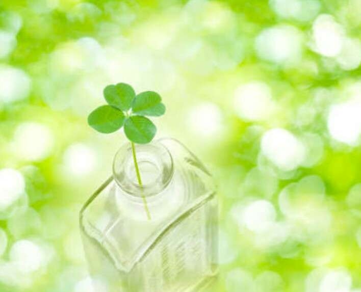 🌿憧れの庭🌿　植物が好きな人の空想トピ