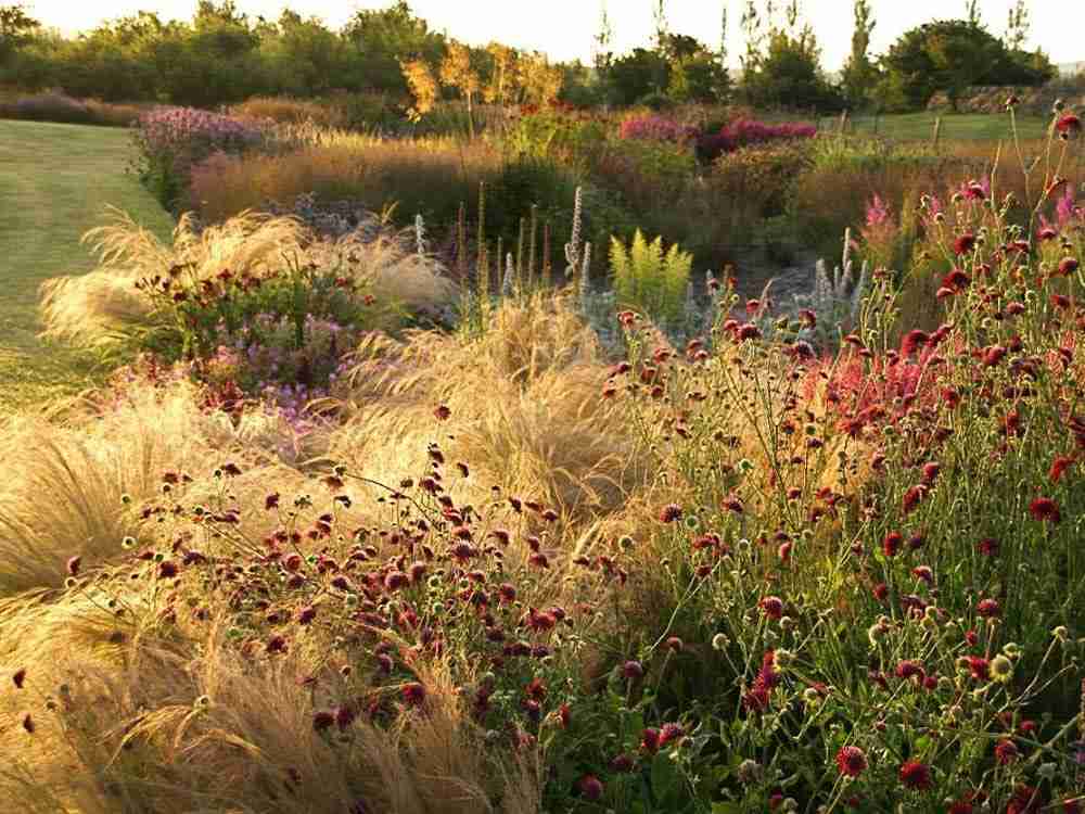 🌿憧れの庭🌿　植物が好きな人の空想トピ