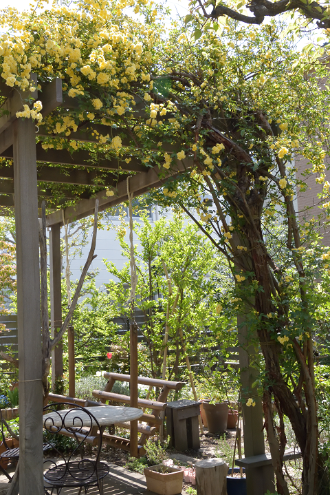 🌿憧れの庭🌿　植物が好きな人の空想トピ