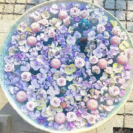 🌿憧れの庭🌿　植物が好きな人の空想トピ