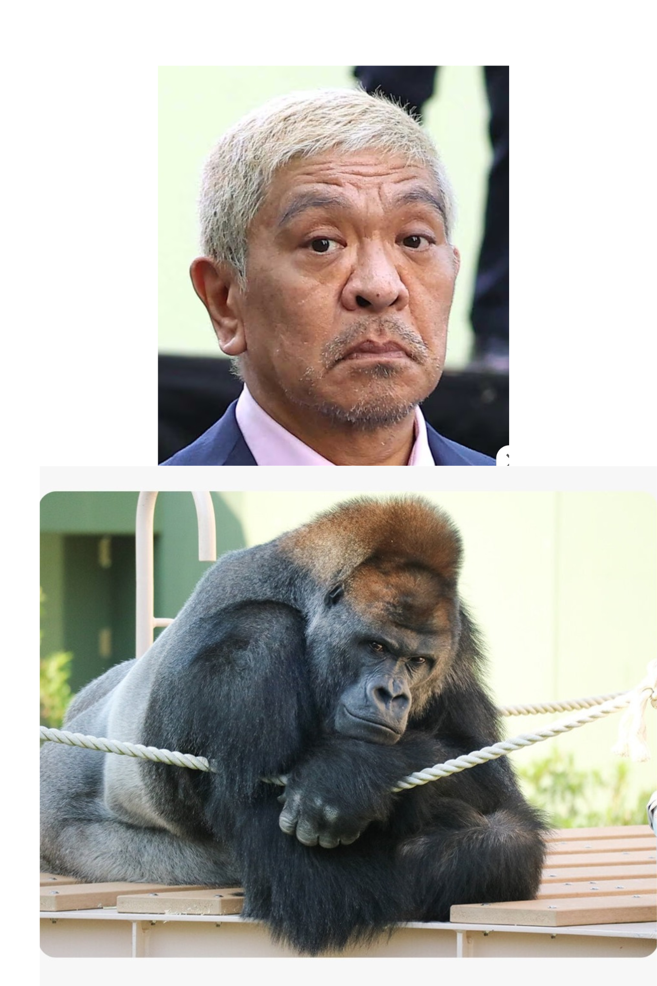 松本人志「恐怖の“上納システム“」の全貌　4人目女性が「大阪での一夜」を証言　「たむけんタイム」で2人きりに…「今日のことは、絶対言わんといてな」と3000円で口止め