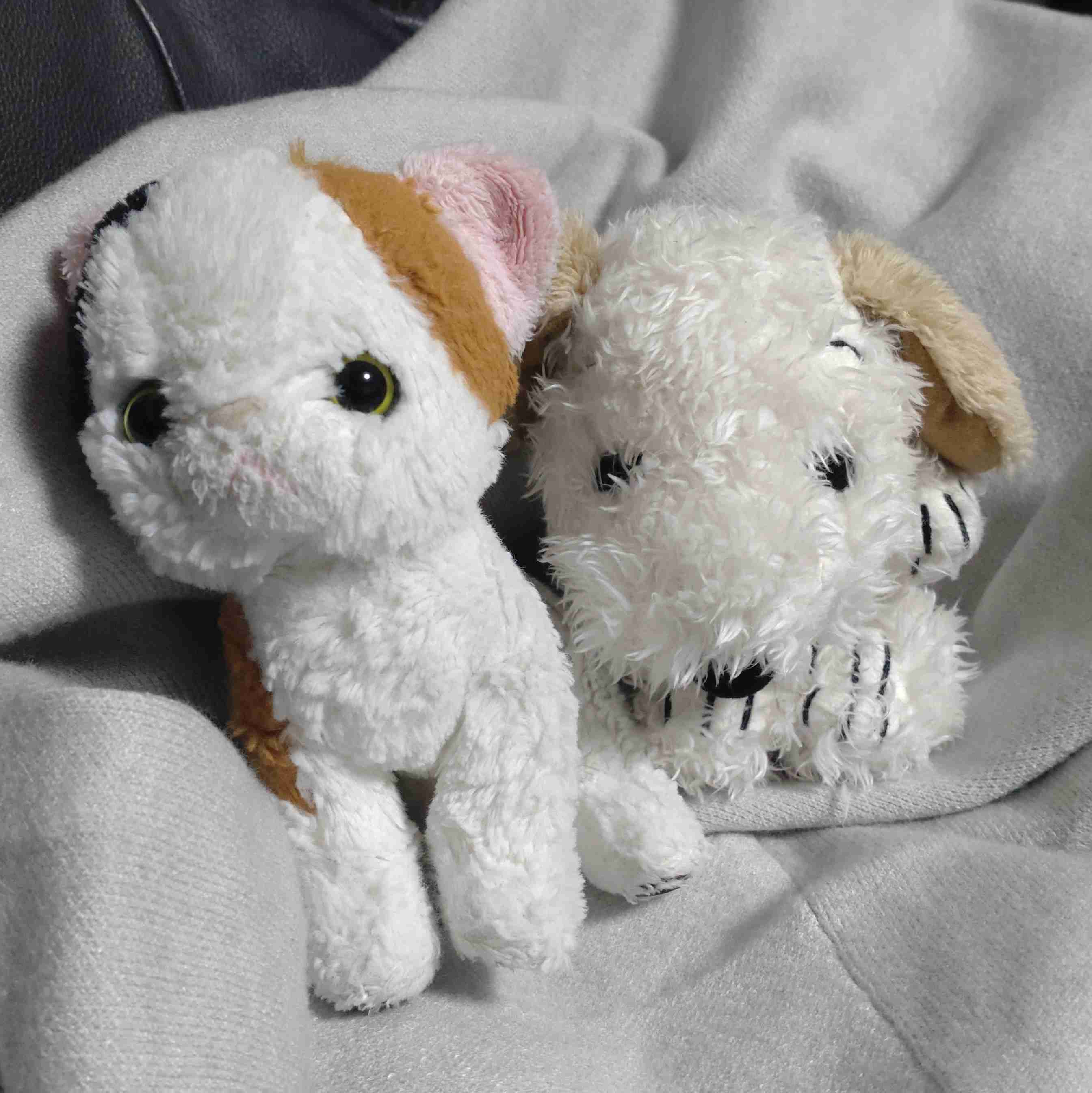 【見せて】自分ちのぬいぐるみ