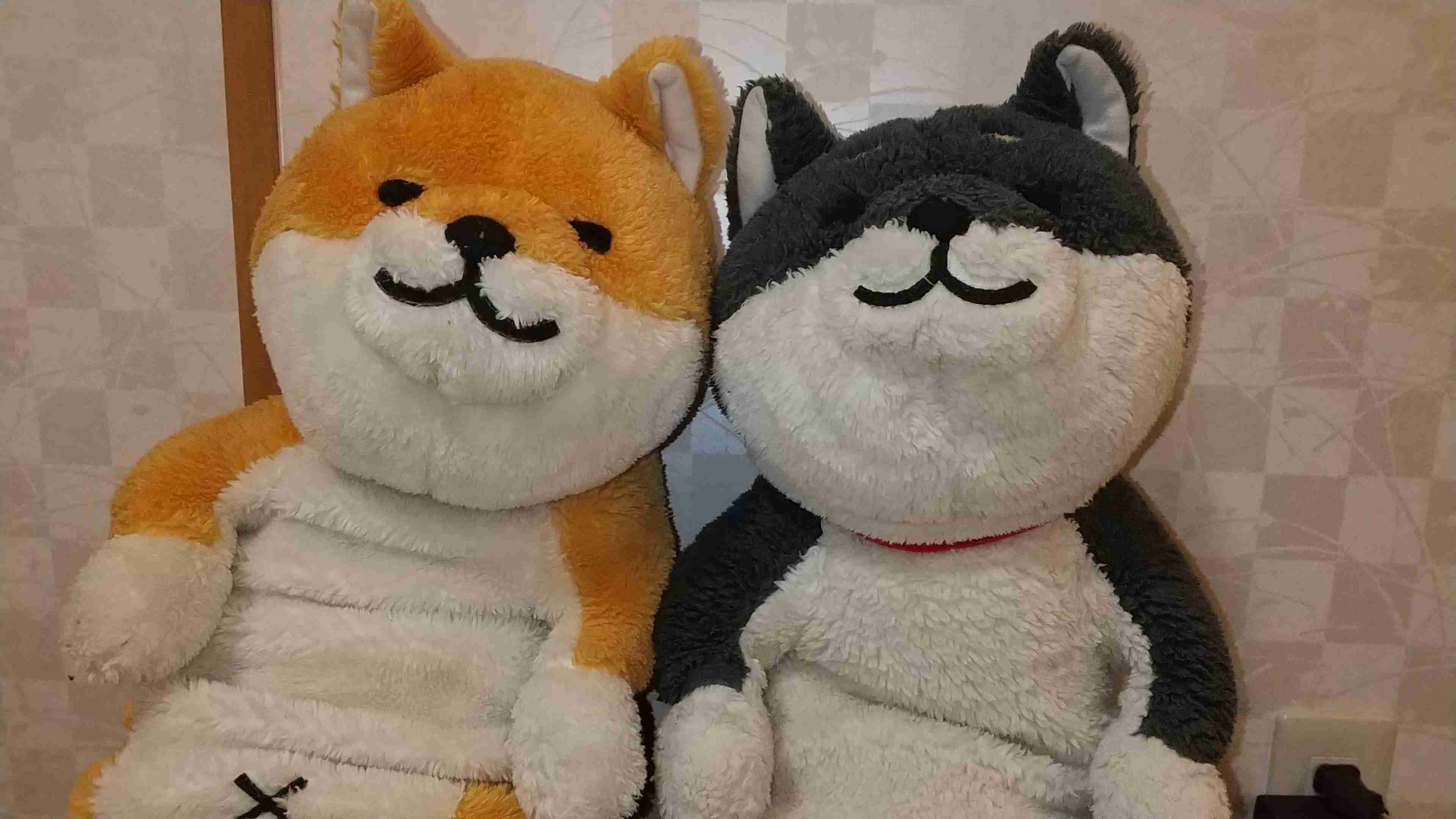 【見せて】自分ちのぬいぐるみ