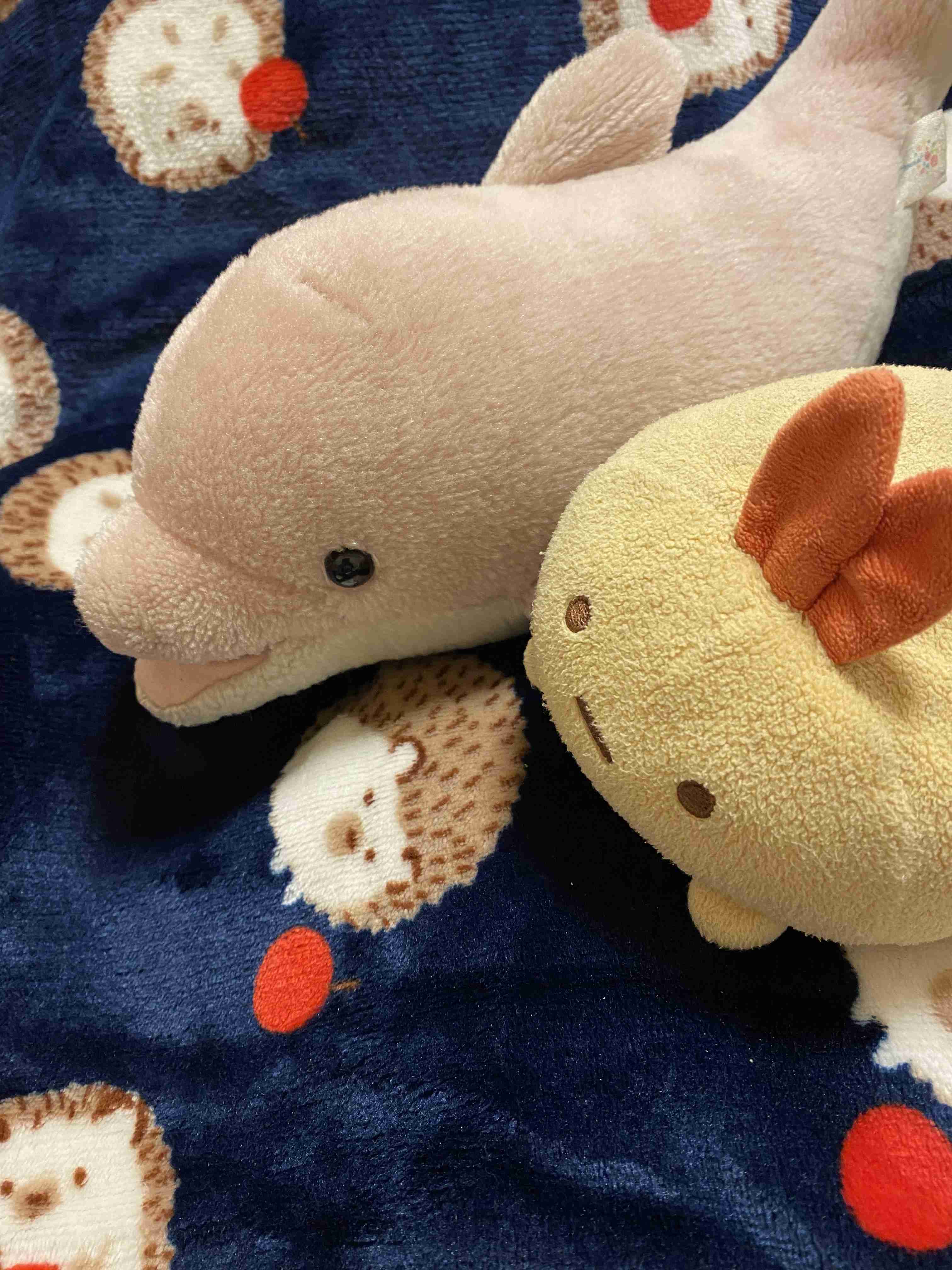 【見せて】自分ちのぬいぐるみ